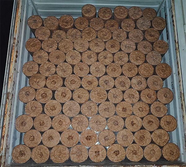 Delivery of Electro Galvanized Welded Wire Mesh to Central Asia