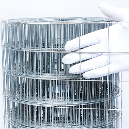 Hot-Dipped Welded Wire Mesh